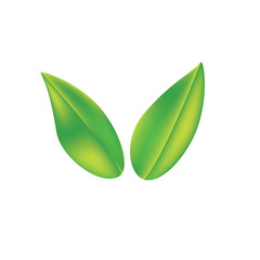 leaf vector illustration green nature leaves isolated background