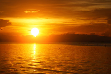 Fototapeta na wymiar Sunset at the lake and swallows.