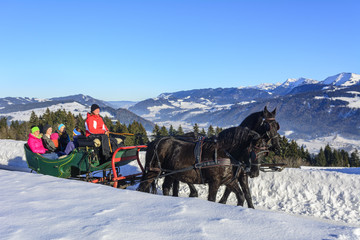 Ausflug mit der Pferdekutsche