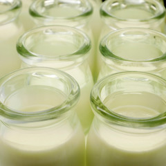 The close up of Italian smooth creamy dessert (panna cotta) in a bottle.