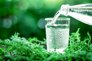 a glass of cool fresh water on natural green background