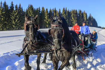 Kutschfahrt im Winter