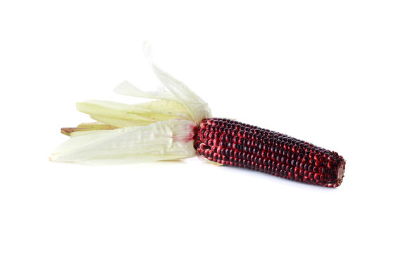 purple glutinous corn with shell on white background