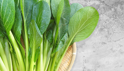 Fresh Ripe of Chinese cabbage on cement table background