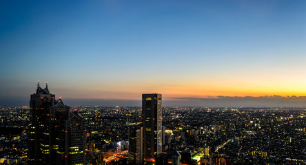 Fototapeta na wymiar Tokyo city in twilight