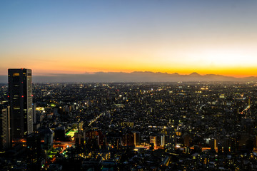 Fototapeta na wymiar Tokyo city at twilight
