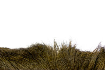 yellow color hair texture on background