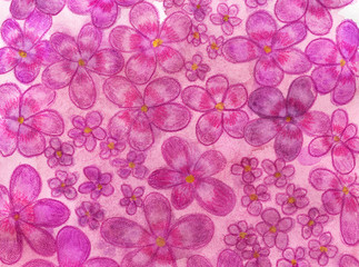 Delicate purple flowers. Abstract watercolor illustration.