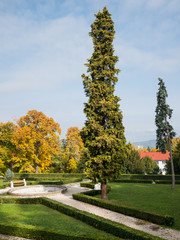 Old garden and fountain