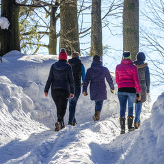 Winterliche Wandertour im Wald