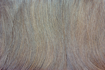 dry hair texture as background