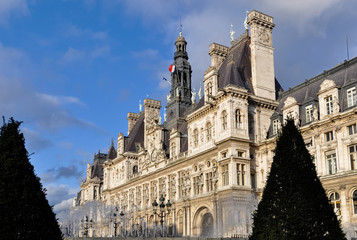 Fototapeta na wymiar The Hotel de Ville in Paris