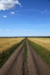 Country road through the field. Russia, Chuvash Republic