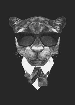 Portrait of Panther in suit. Hand drawn illustration.