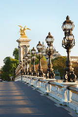 Fototapeta na wymiar Alexander III bridge in Paris, empty in the early morning, France