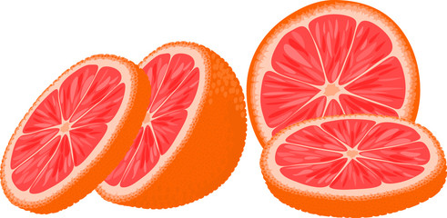Vector illustration of orange slices at different angles.