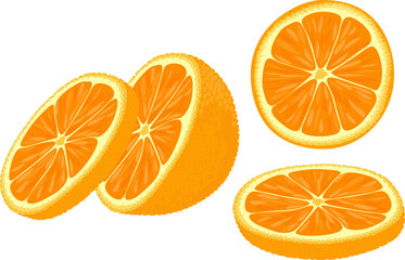 Vector illustration of orange slices at different angles.