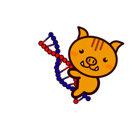 DNAと動物シリーズ