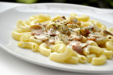 Cabonara magaroni