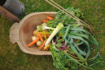 Vegetables on the wood plate