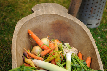 Vegetables on the wood plate