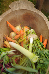 Vegetables on the wood plate