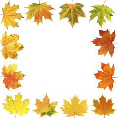 Naklejka na ściany i meble Different autumn leaves, isolated on white