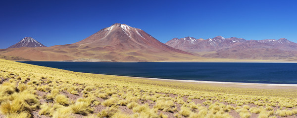 Desert lake Laguna Miscanti volcano, Altiplano, Chile