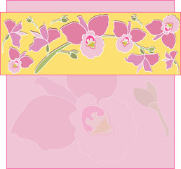 Card with pink orchid flowers. Vector background with Flowers