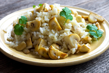 Risotto with mushrooms and coriander
