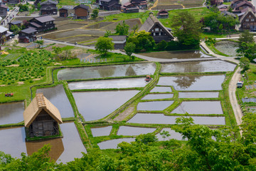 Historic Village of Shirakawa-go in spring