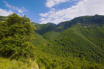 Fototapeta na wymiar montañas con vejetacion cerca del pirineo girona