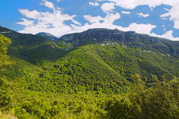 Naklejka na ściany i meble montañas con vejetacion cerca del pirineo girona