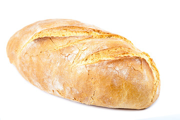 Loaf of bread on white background.