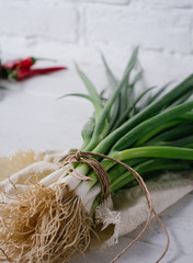 A bunch of green onions on a light textile background on white brick wall