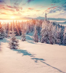 Foto op Aluminium Colorful winter sunrise in the snowy mountains. © Andrew Mayovskyy
