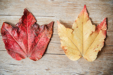 Autumn leaves on wooden background