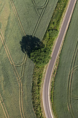 aerial view of village road and harvest fields