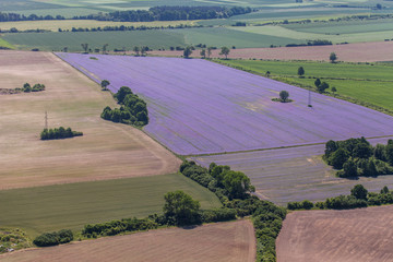 Obraz premium aerial view of the green harvest fields