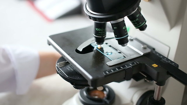 Microbiology laboratory, work with microscope