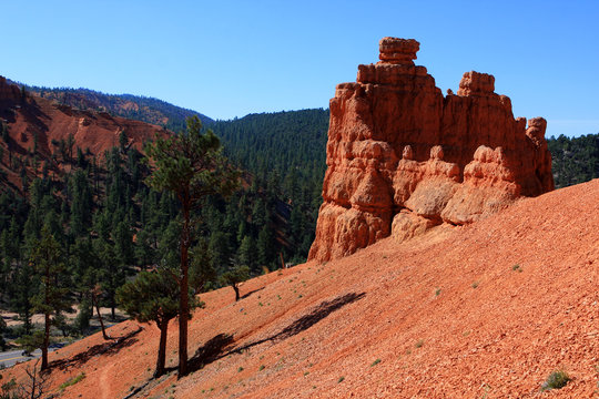 Red Canyon at Scenic Byway 12, Dixie national forest, Utah, USA