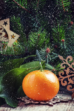 Christmas or New Year card with a tangerine, fir branches, pine