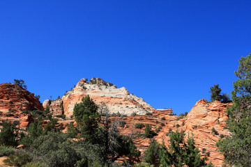 Red mountains in Zion National Park, Utah, United States