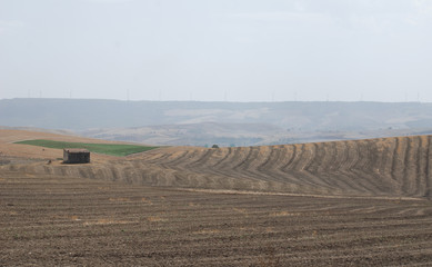 Obraz premium Dry Pugliese Landscape