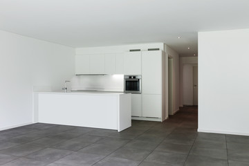 Obraz na płótnie Canvas modern apartment, domestic kitchen