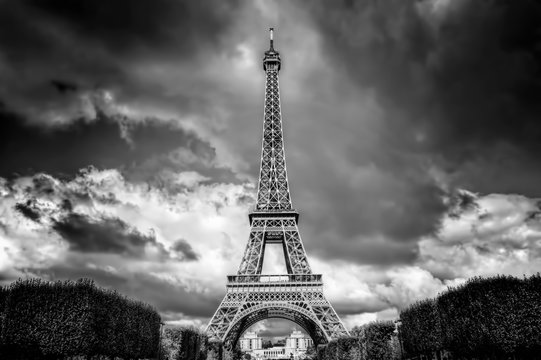 Fototapeta Eiffel Tower seen from Champ de Mars park in Paris, France. Black and white