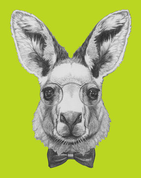 Portrait of Kangaroo with glasses and bow tie. Hand drawn illustration.