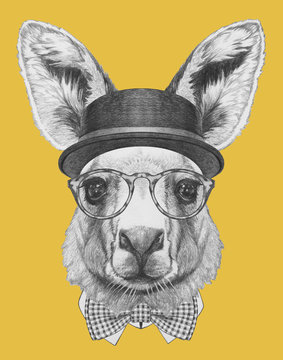 Portrait of Kangaroo with hat, glasses and bow tie. Hand drawn illustration.