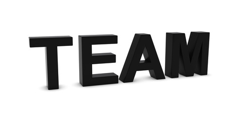 TEAM Black 3D Text Isolated on White with Shadows