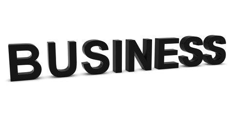 BUSINESS Black 3D Text Isolated on White with Shadows